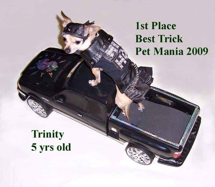 Trinity